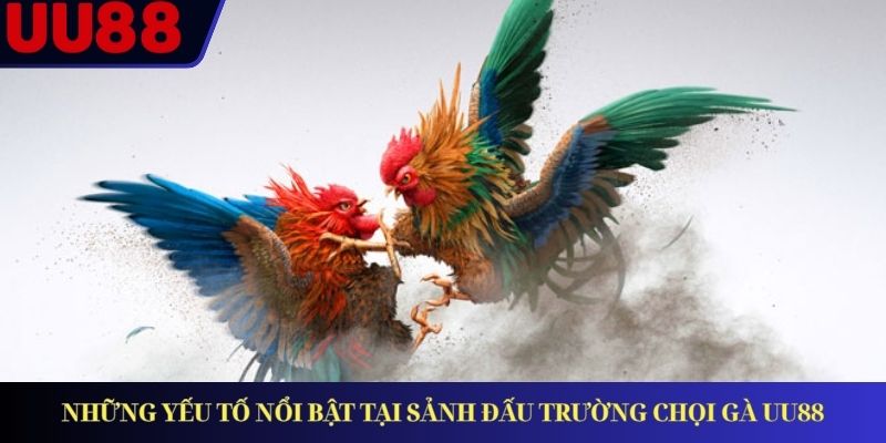 Những yếu tố nổi bật tại sảnh đấu trường chọi gà UU88